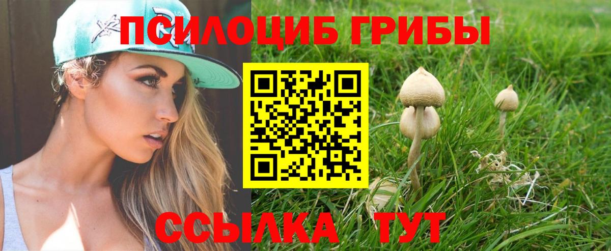 Галлюциногенные грибы MAGIC MUSHROOMS  Вход с VPN  Каспийск 